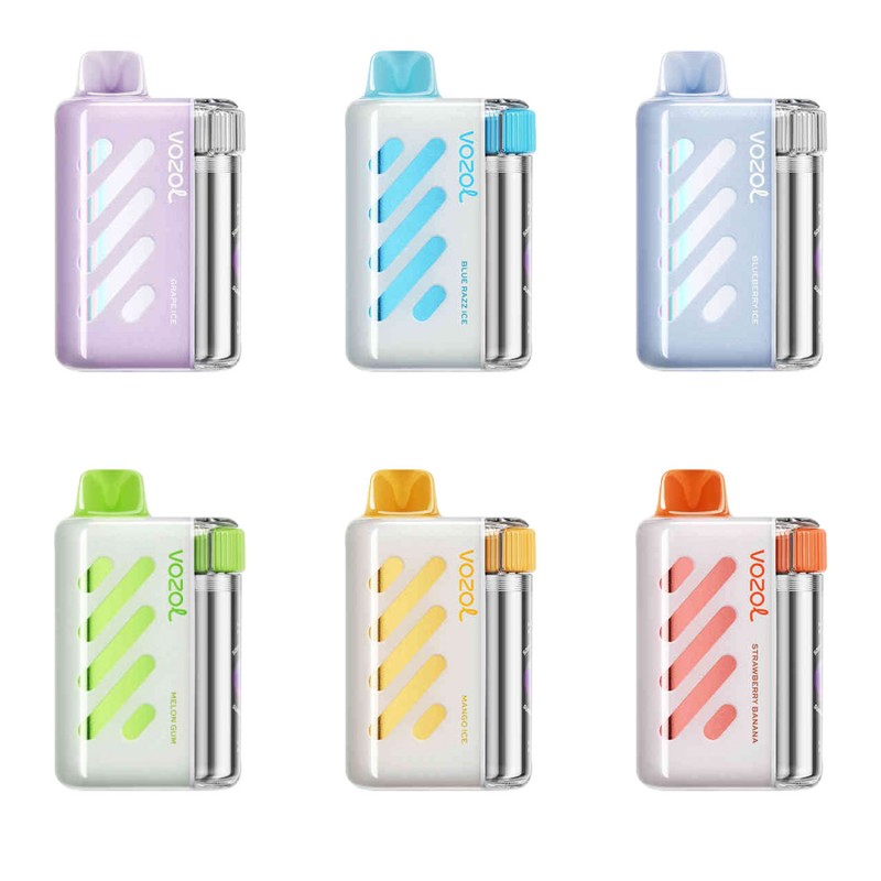 Vozol S.i.L.C technology flavor consistency, no burnt taste vape, legendary vape flavor delivery - VOZOL Vista 40K Disposable Vape 20ml 5% (40000 Puffs) | Vapesourcing